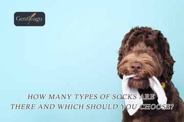 How Many Types of Socks Are There and Which Should You Choose?