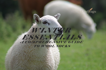 Winter Essentials: A Comprehensive Guide to Wool Socks